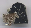 wp600cdff8_0f.jpg